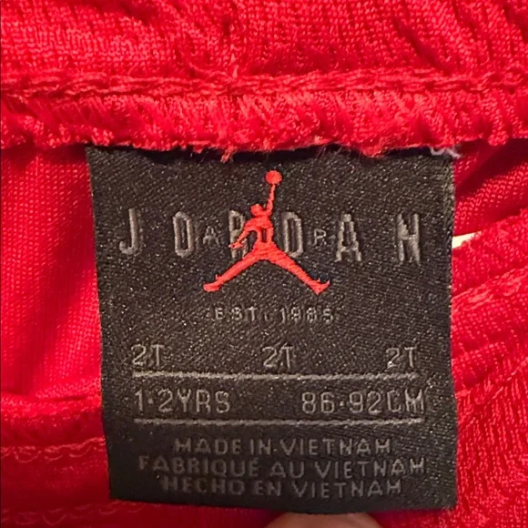 Jordan Toddler Boys' Gym Red Shorts - Picture 5 of 5